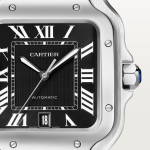 Cartier Santos Story and Models